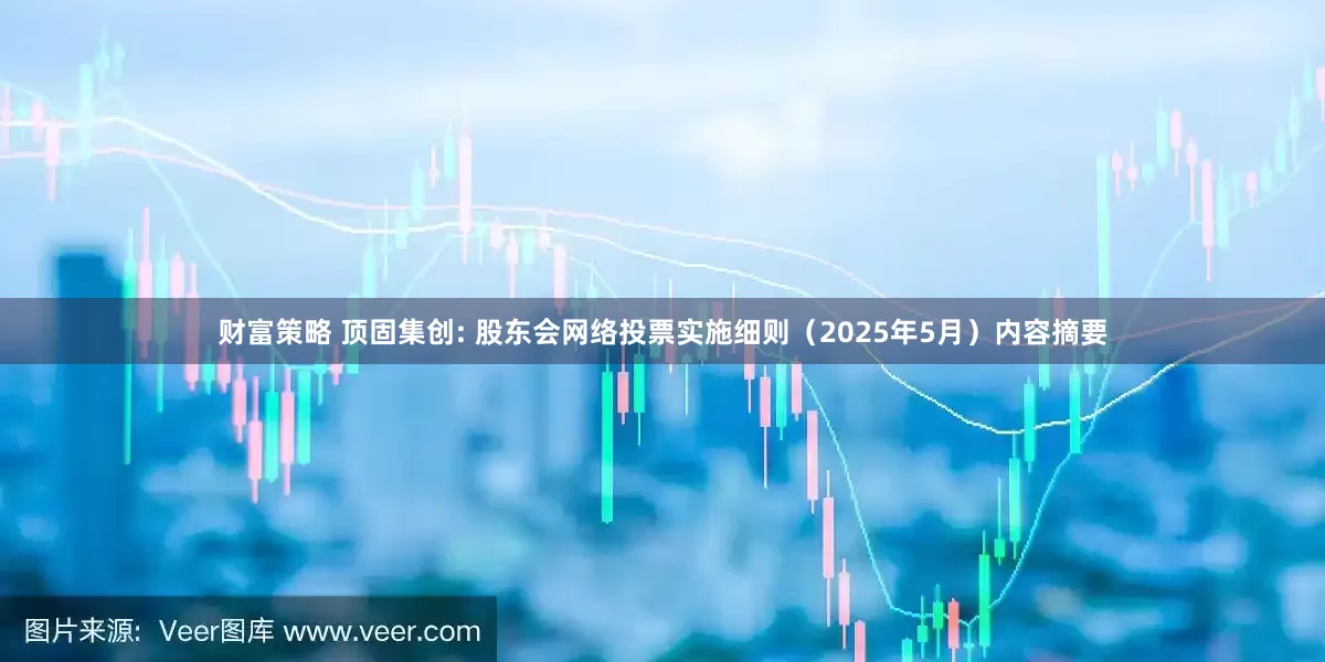财富策略 顶固集创: 股东会网络投票实施细则（2025年5月）内容摘要