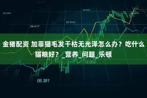 金猪配资 加菲猫毛发干枯无光泽怎么办？吃什么猫粮好？_营养_问题_乐顿